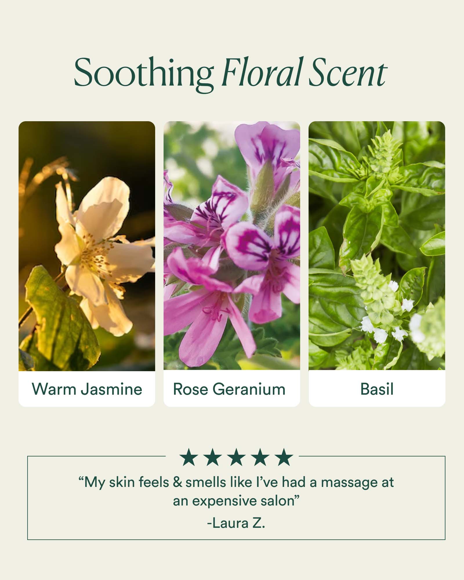 BBALM_PDP_SCENT_1600x2000_2850726c-ad22-4fbc-8d9c-4d899a8a5ce3.jpg