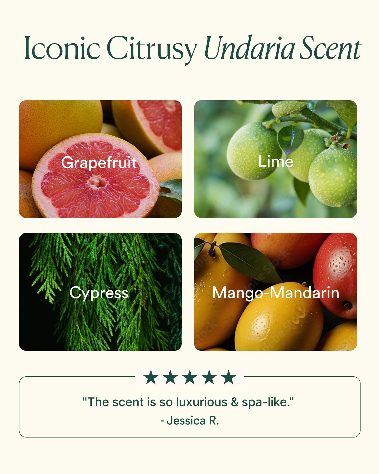 UCBL_PDP_SCENT_1600x2000_4dee47a0-c2ba-44b7-960c-65c50a506854.jpg